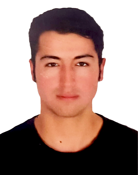 Desarrollador Web